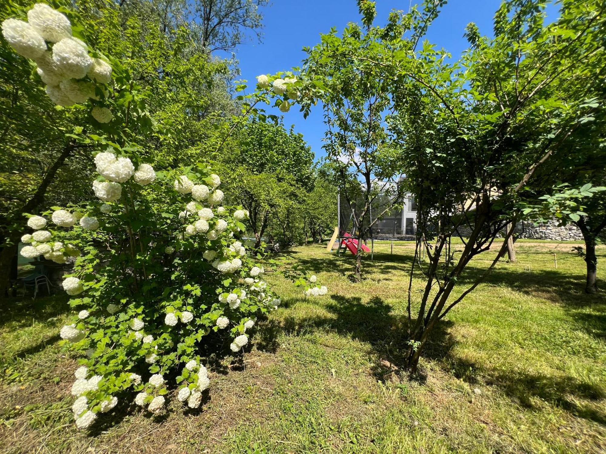Anur Apartment Біхач Екстер'єр фото